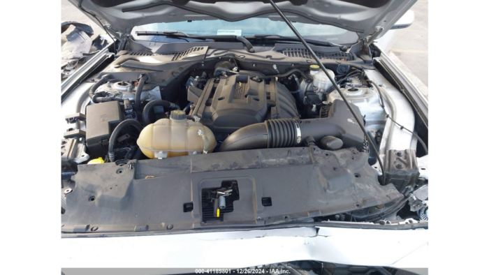 2019 Ford Mustang - Image 6