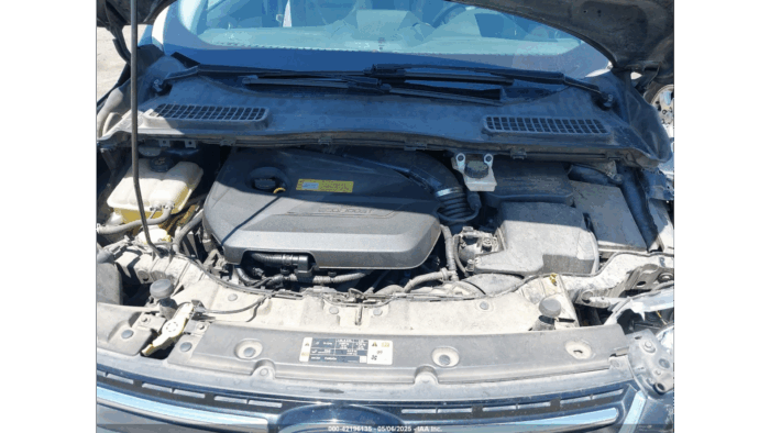 2013 Ford Escape Sel - Image 6