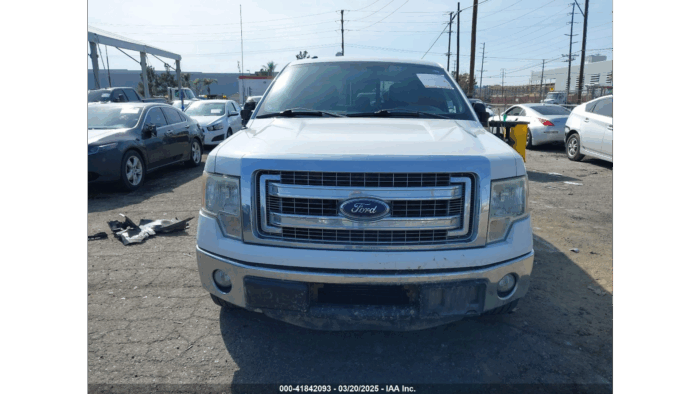 2013 Ford F-150 - Imagen 2