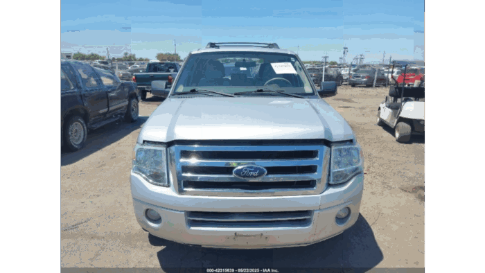 2014 Ford Expedition Xlt - Imagen 2