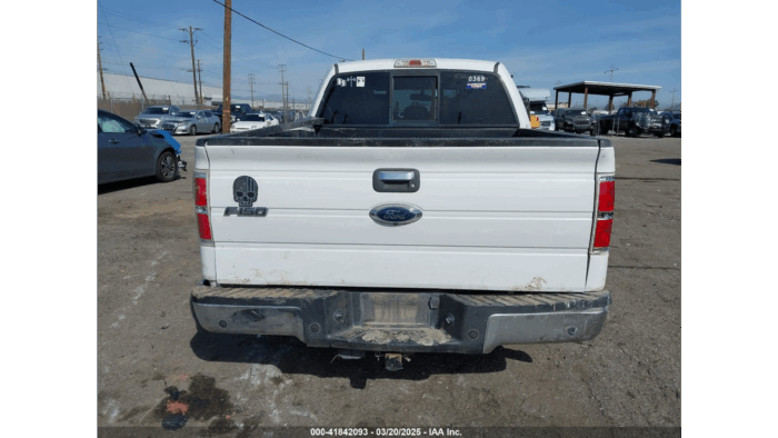 2013 Ford F-150 - Imagen 6