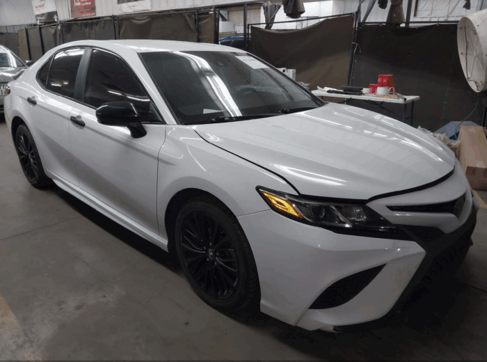 2019 Toyota Camry Se