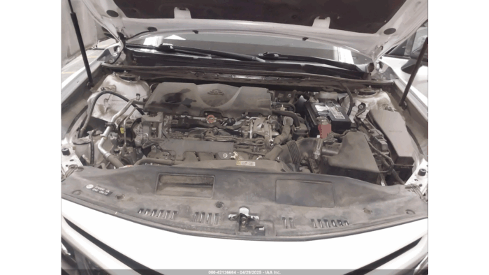 2019 Toyota Camry Se - Image 5