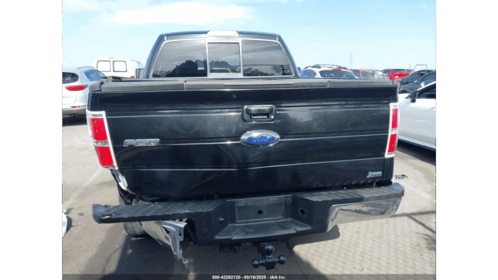 2009 Ford F-150 - Image 3
